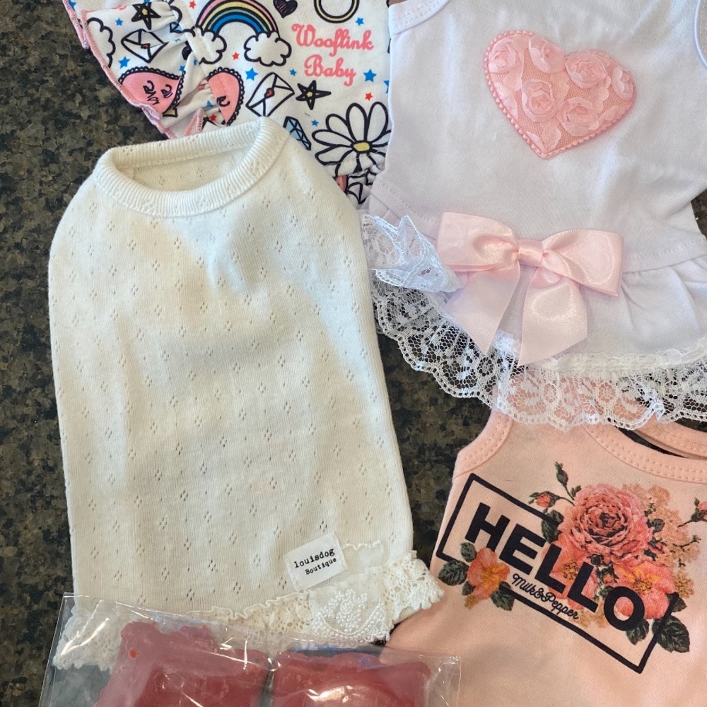 EUC XS Louisdog Boutique Cream Pointelle Lace Tee! 🐶 - Picture 9 of 10